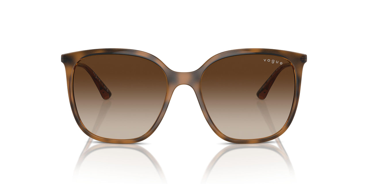 238613 - Brown - Gradient Brown