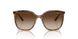 238613 - Brown - Gradient Brown