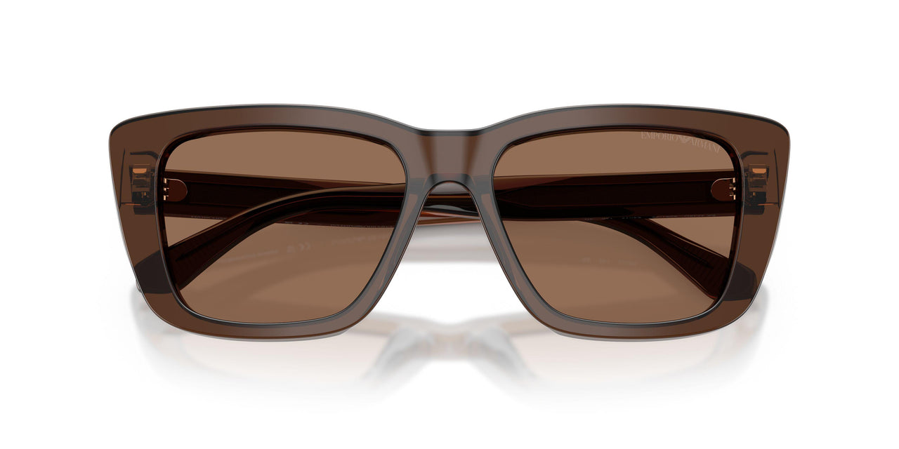 625173 - Brown - Dark Brown