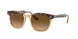 1292M2 - Havana - Brown Gradient Polar