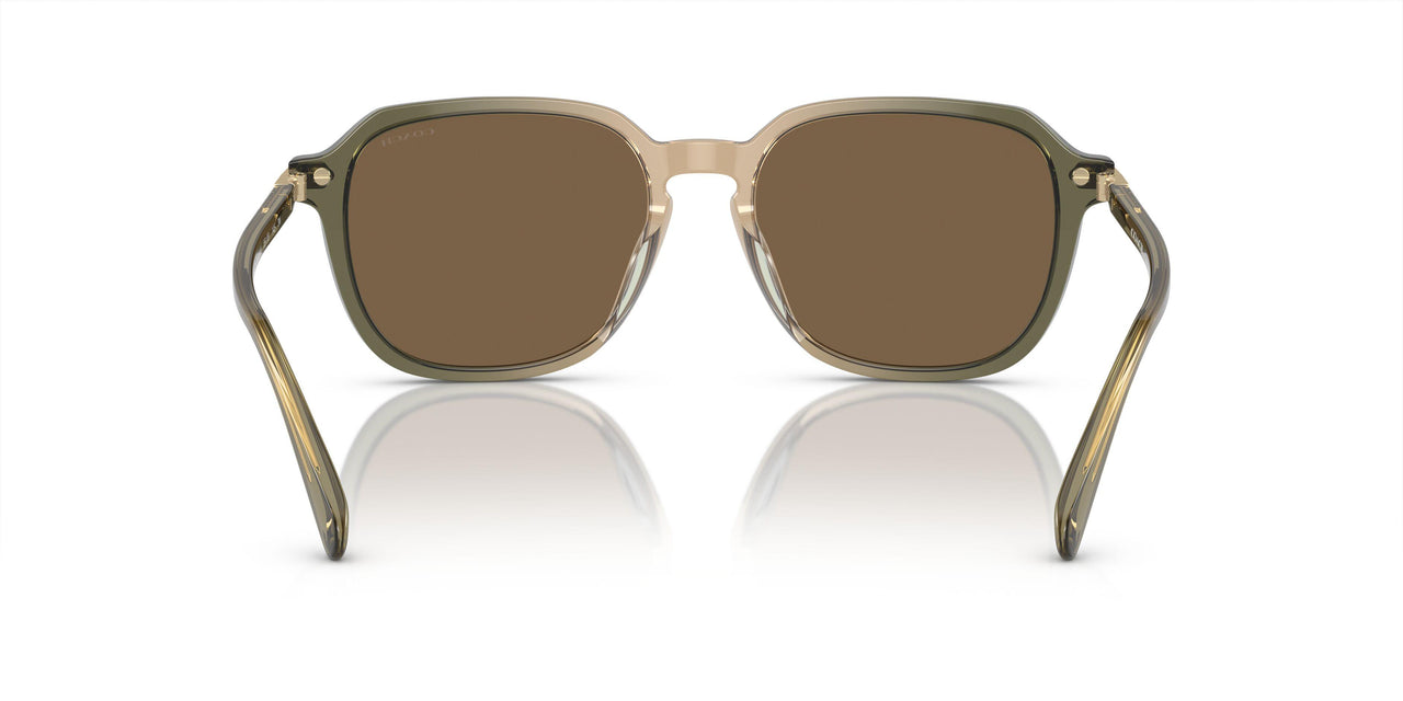 579773 - Transparent Green Tan Gradient - Brown Solid