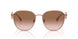 141213 - Gold - Brown Gradient