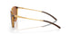 928803 - Brown - Prizm Bronze Polarized