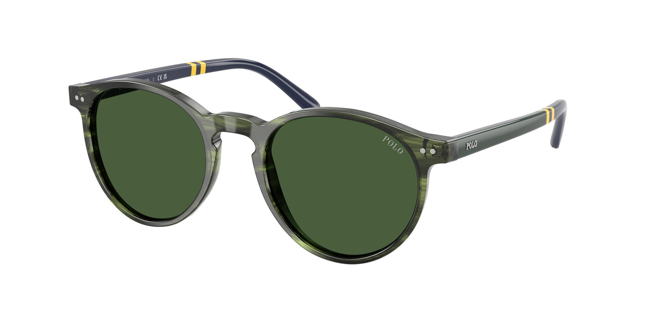 Polo 4236 Sunglasses
