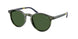 Polo 4236 Sunglasses