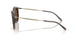 646753 - Tortoise - Dark Brown