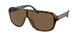 Polo 4196U Sunglasses