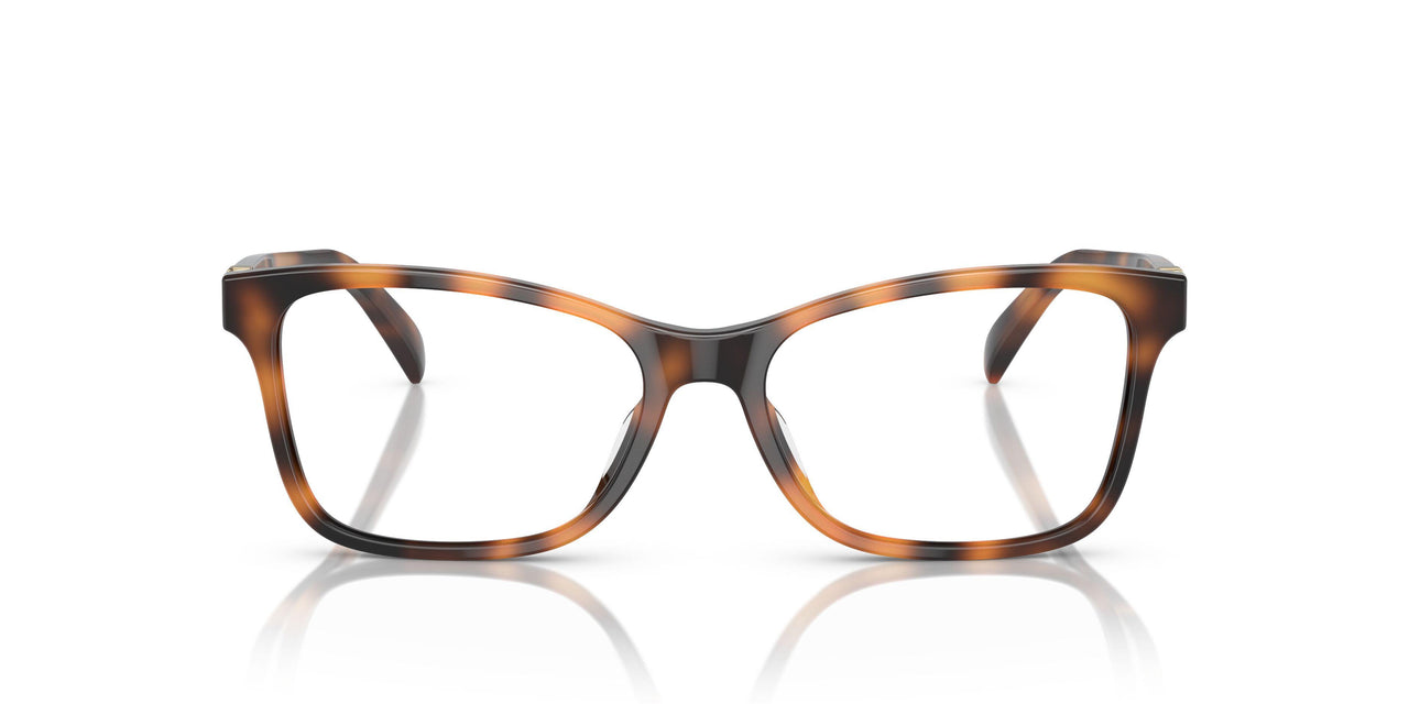 5303 - Tortoise