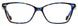 4 - Cobalt Tortoise