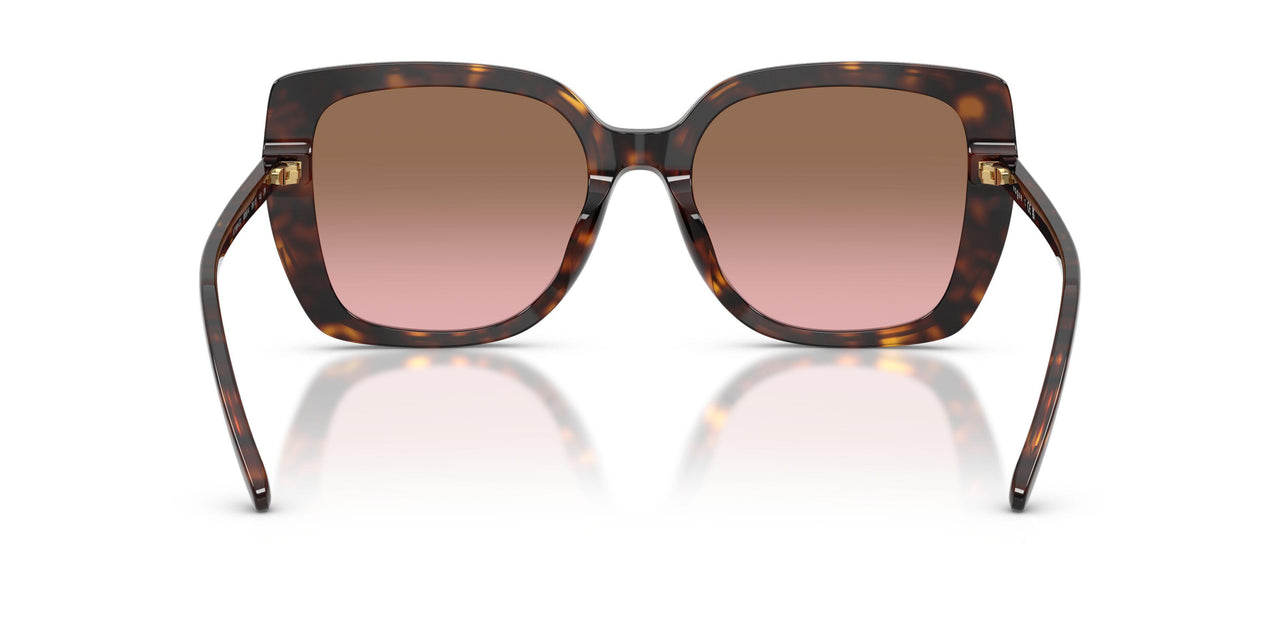 W65614 - Brown - Pink Gradient Brown