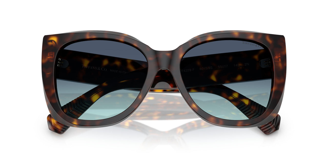 80159S - Tortoise - Azure Gradient Blue