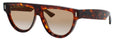 02 - Dark Turtle - Brown Gradient