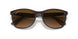 6600M2 - Brown - Brown Gradient Polar