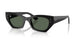667771 - Black - Dark Green