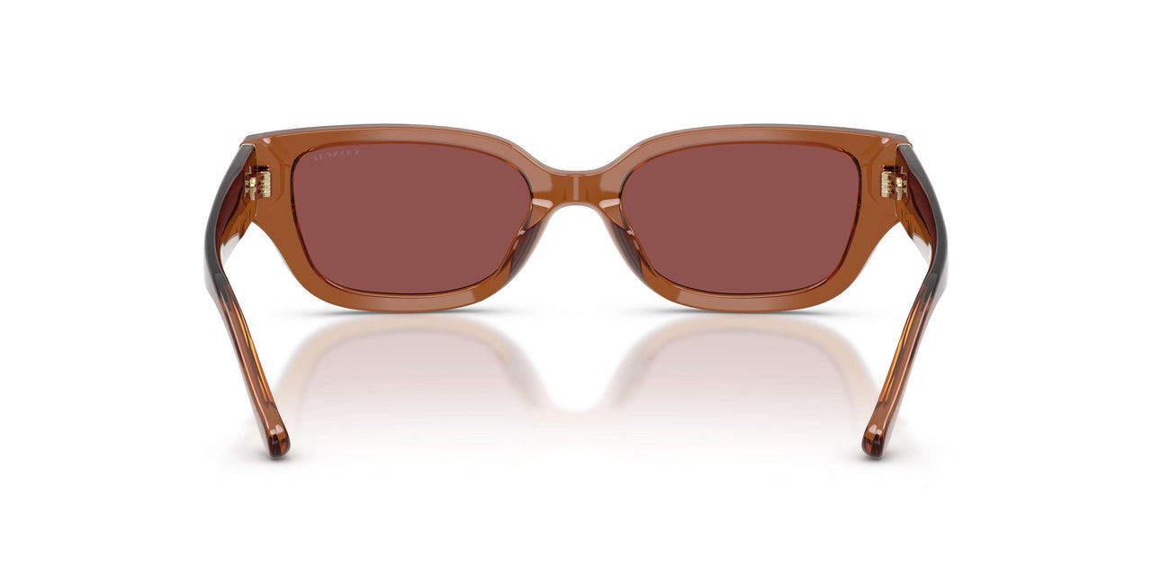 581175 - Brown - Wine Solid