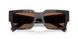 17N06B - Tortoise - Dark Brown