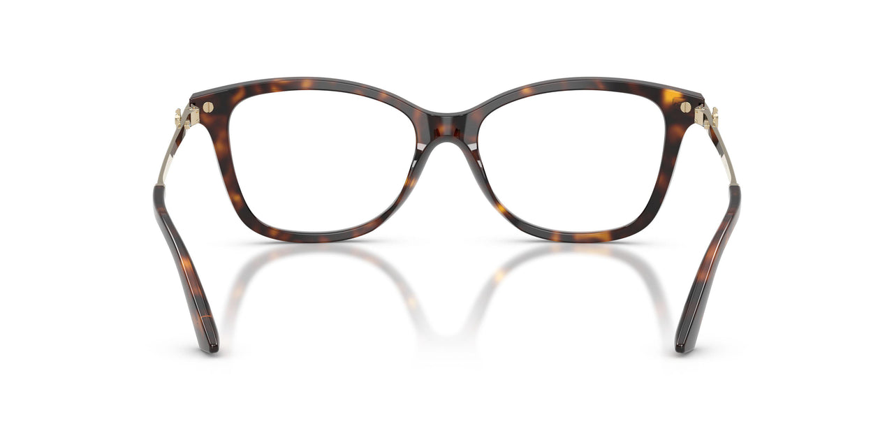 5002 - Tortoise