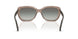 294011 - Brown - Gradient Grey