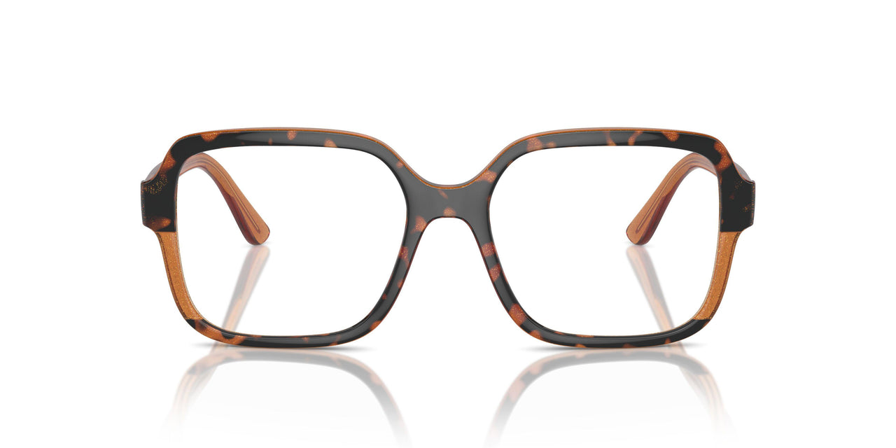 3134 - Tortoise