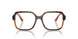 3134 - Tortoise