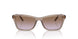 294068 - Brown - Violet Gradient Brown