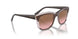 313614 - Brown - Pink Gradient Brown