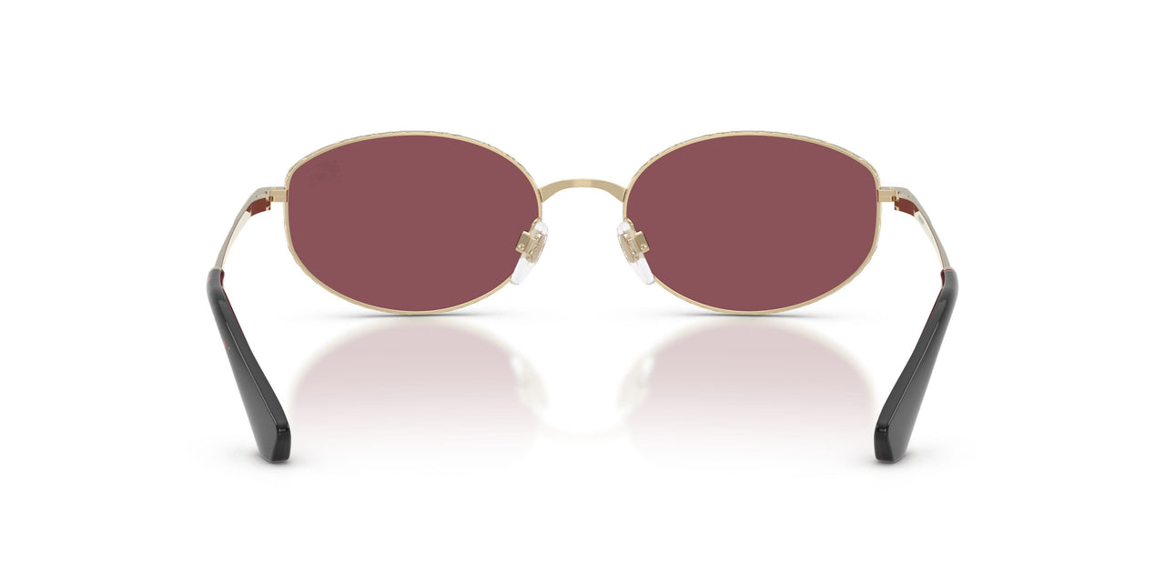11095Q - Gold - Purple Polarized