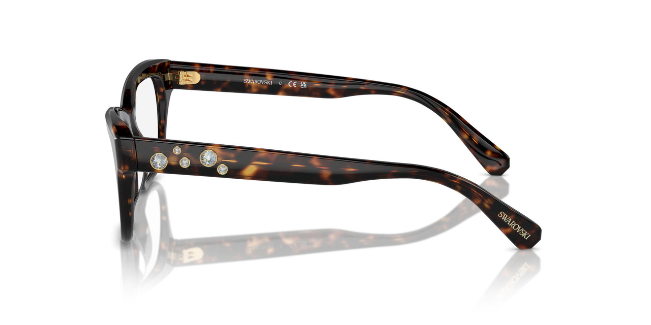 1002 - Brown