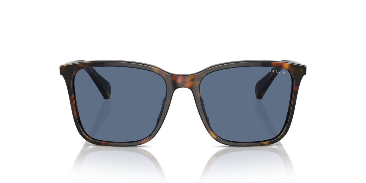 513480 - Brown - Dark Blue
