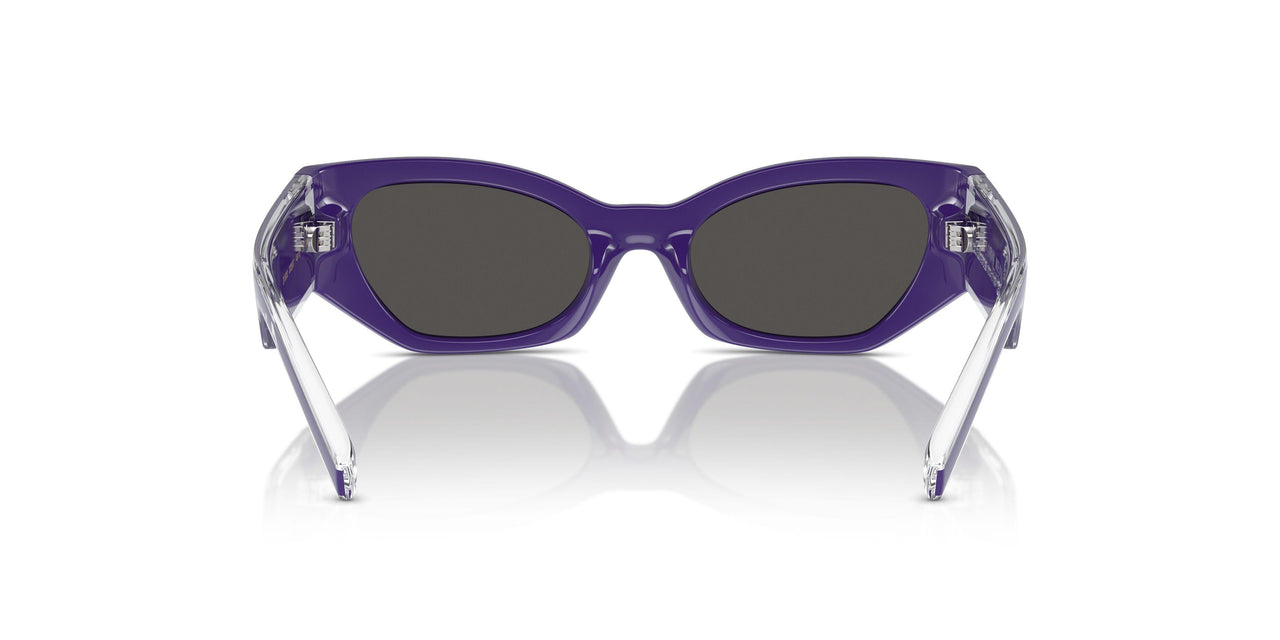 333587 - Violet - Dark Grey