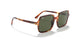 954/31 - Havana - Green