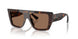 500273 - Tortoise - Dark Brown
