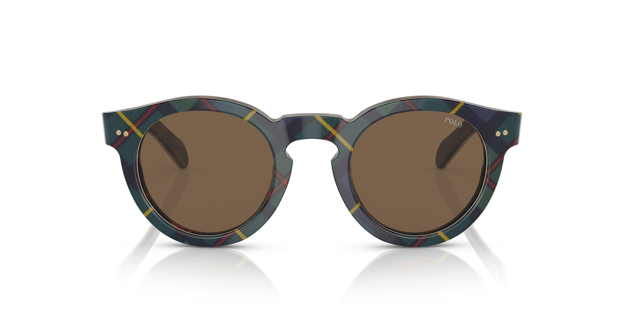 562573 - Multicolor - Brown