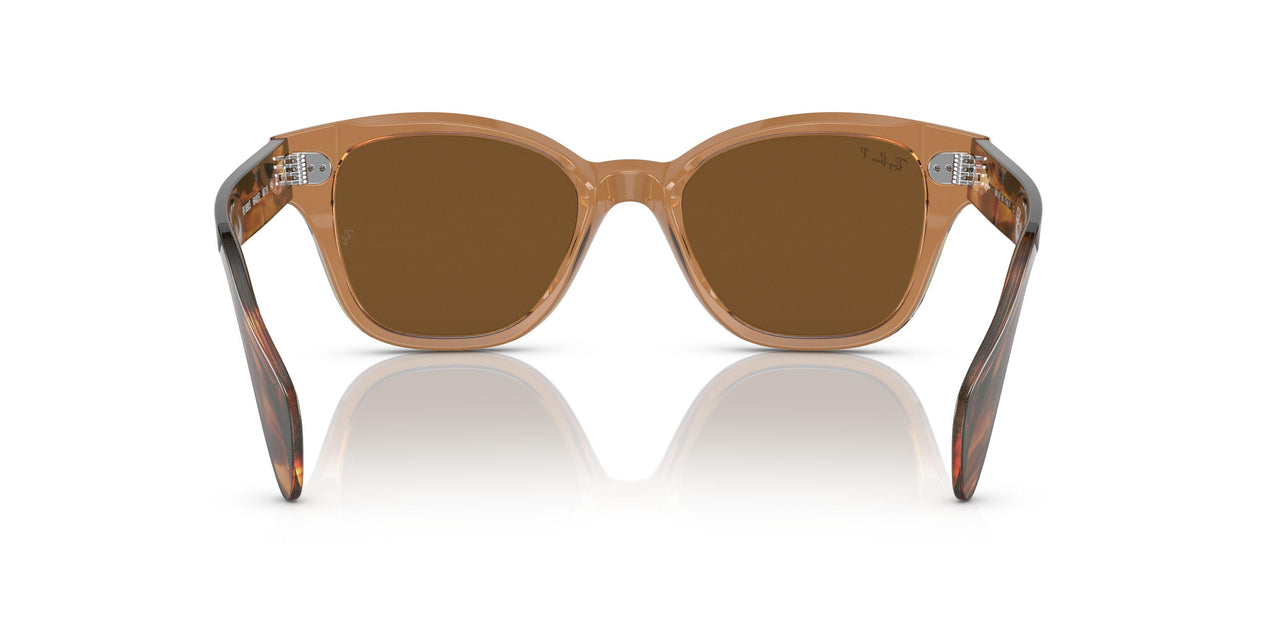 664057 - Brown - Brown Polar