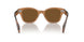664057 - Brown - Brown Polar