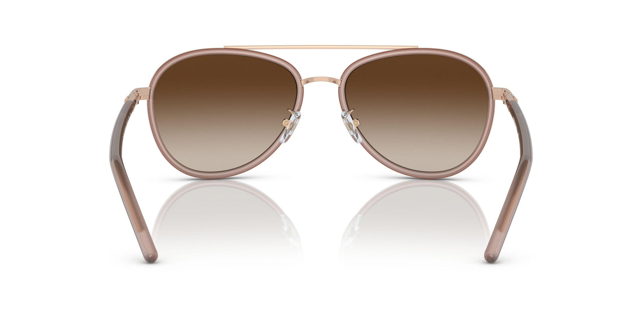 332313 - Pink - Brown Gradient
