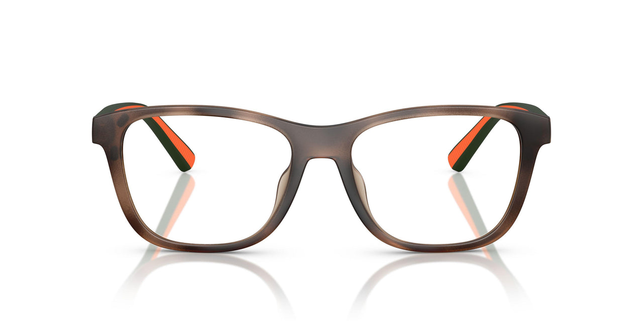 607071 - Tortoise - Bottle Green