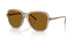 299083 - Brown - Dark Brown Polar