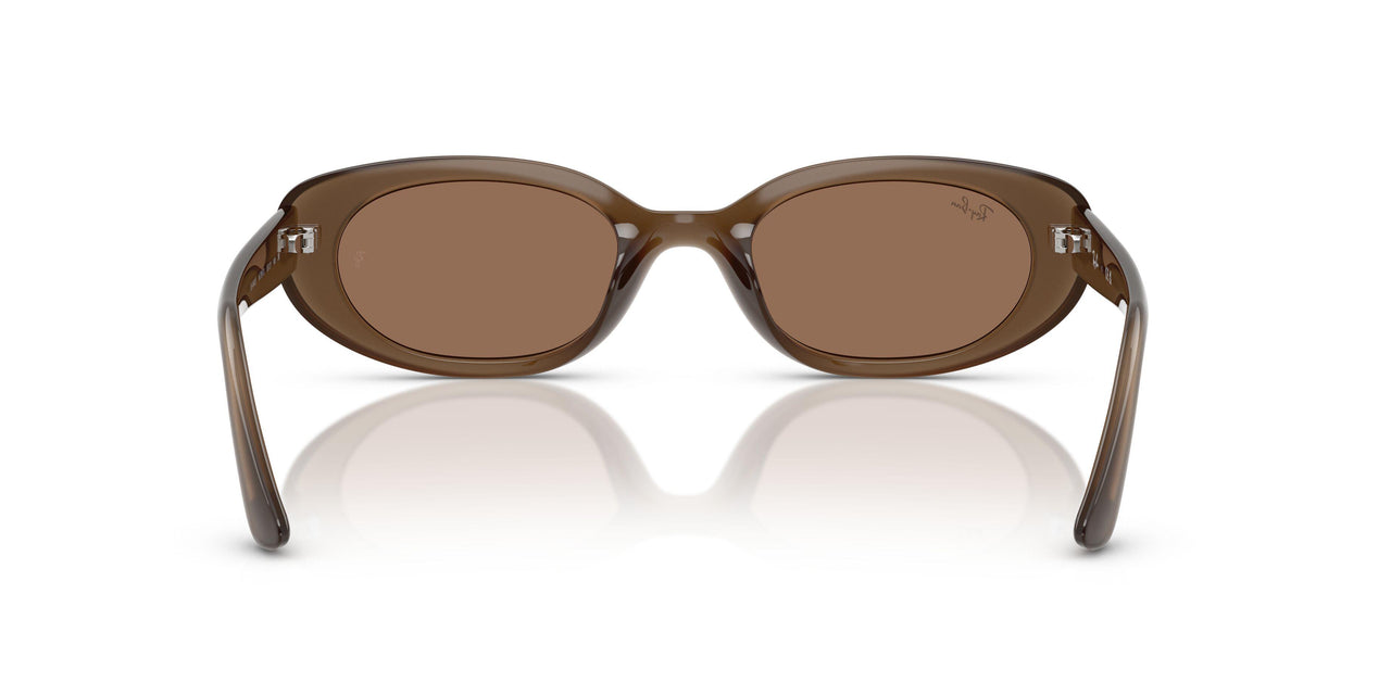 677973 - Brown - Dark Brown