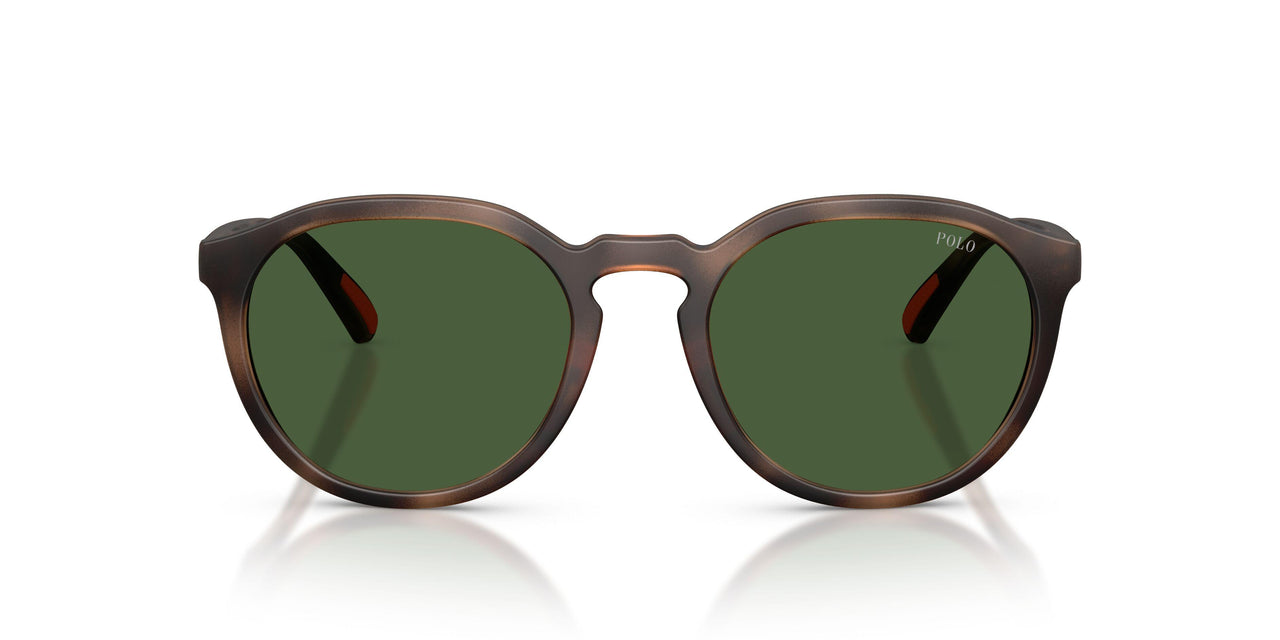 597471 - Tortoise - Bottle Green