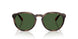 597471 - Tortoise - Bottle Green