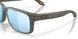 950905 - Grey - Prizm Deep Water Polarized