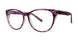 PLM - Plum