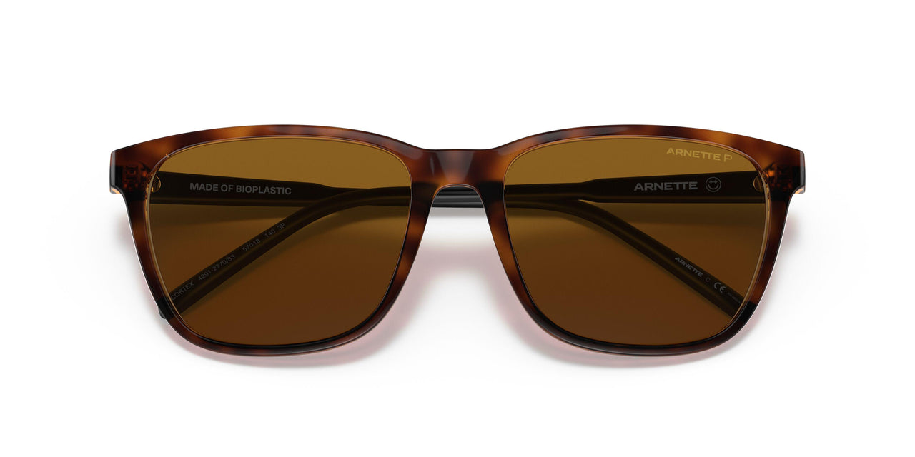 277083 - Havana - Polar Brown