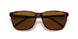277083 - Havana - Polar Brown