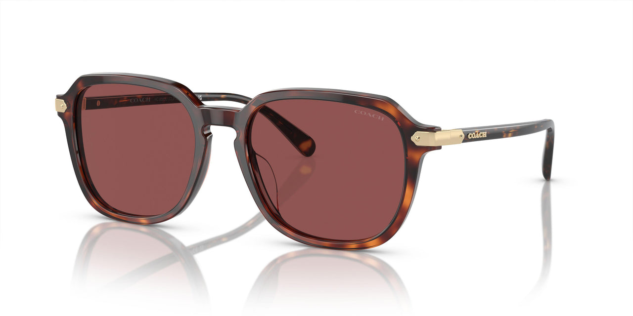 579875 - Dark Tortoise/caramel Tortoise - Violet