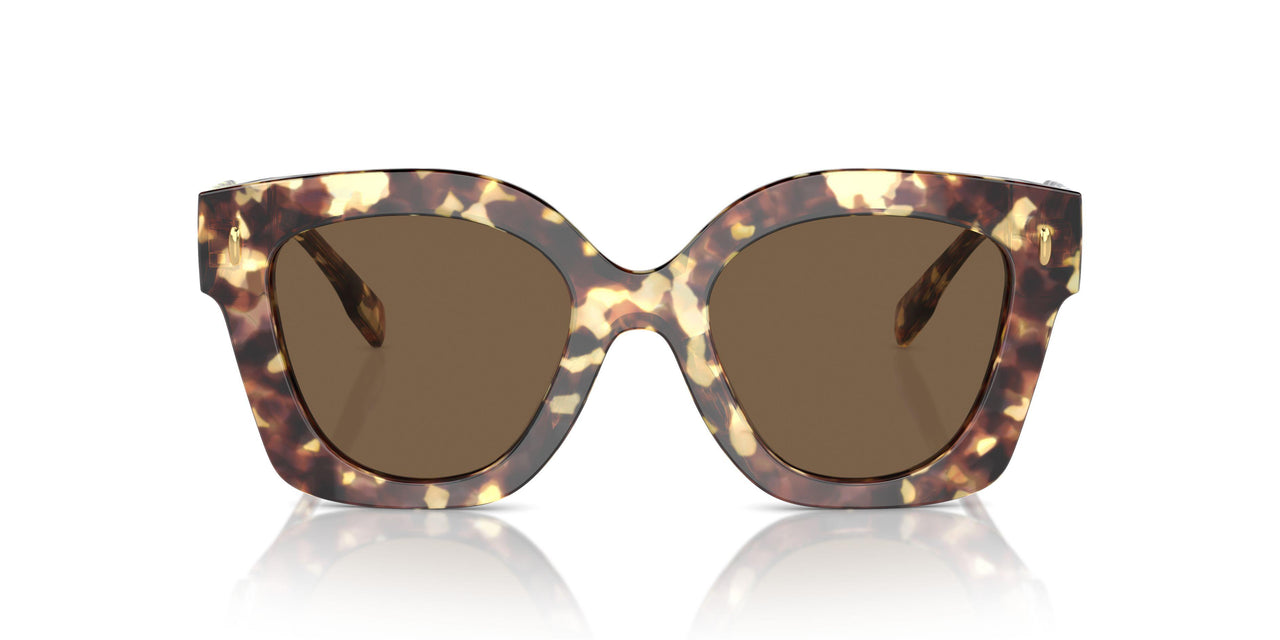 199573 - Tortoise - Dark Brown