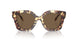199573 - Tortoise - Dark Brown
