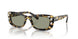 1009/2 - Tortoise - Green