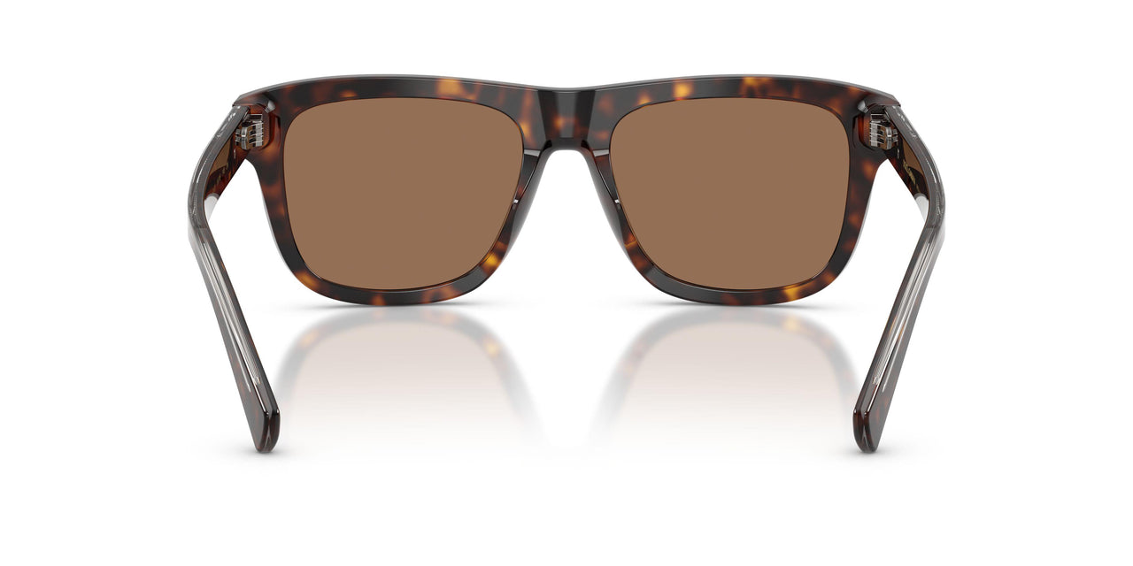 502/73 - Tortoise - Dark Brown